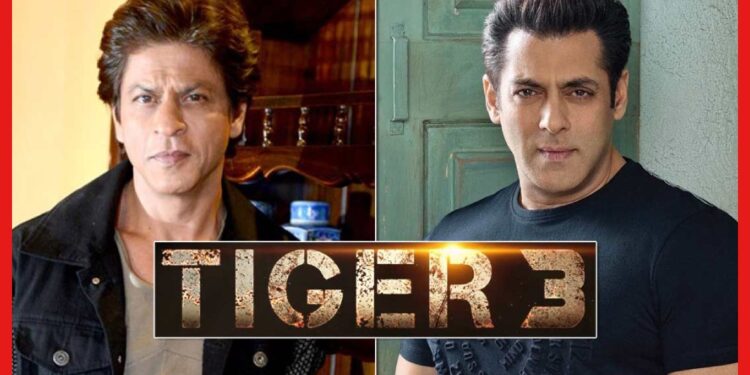 Tiger 3 : ভক্তদের জন্য বড় চমক! পাঠানের পর ‘টাইগার ৩’-তে শাহরুখ-সালমান