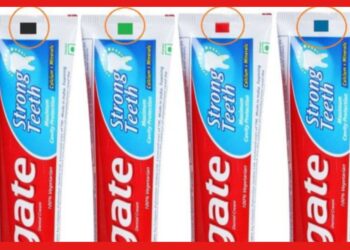 Toothpaste: টুথপেস্টের গায়ে হরেক রকম রঙিন চিহ্ন! এর মানে জানেন কী?
