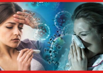 H3N2 Virus: চরিত্র বদলে ভয়ঙ্কর হচ্ছে H3N2 ভাইরাস, বাড়বে সংক্রমণ! চিনে রাখুন উপসর্গ