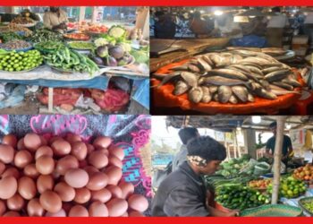 Market Price: রবিবারের বাজারে মাছ মাংসের আগুন দর, সবজি কত?