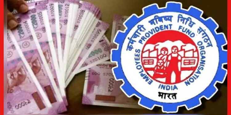 EPFO: ২০২২-২৩ সালের জন্য ৮.১৫ শতাংশ সুদের হার নির্ধারণ করেছে প্রভিডেন্ট ফান্ড বডি: রিপোর্ট