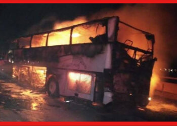 Saudi Bus Accident: সৌদিতে ভয়াবহ বাস দুর্ঘটনা, নিহত ২০ এবং আহত কমপক্ষে ২৯ জন