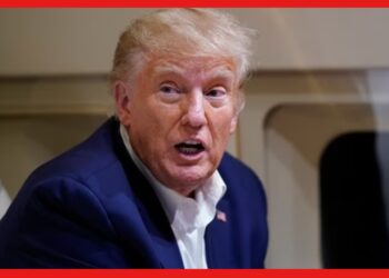 Donald Trump: গ্রেফতারের পর মুক্তি পেলেন ট্রাম্প, তাঁর বিরুদ্ধে অভিযোগ কতটা সত্য?
