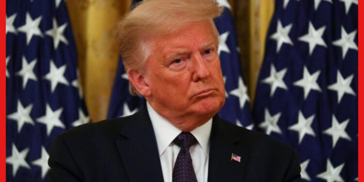 Donald Trump: আদালতে আত্মসমর্পণ করবেন ডোনাল্ড ট্রাম্প, পরানো হবে না হাতকড়া!