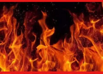 Garia Fire Incident: দাউ দাউ করে জ্বলছে গড়িয়ার কাঠের গুদাম, আগুন ছড়িয়ে পড়ছে আশপাশের এলাকায়