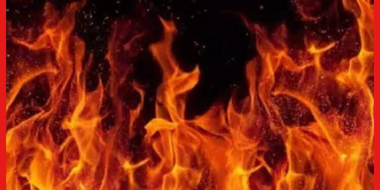 Garia Fire Incident: দাউ দাউ করে জ্বলছে গড়িয়ার কাঠের গুদাম, আগুন ছড়িয়ে পড়ছে আশপাশের এলাকায়