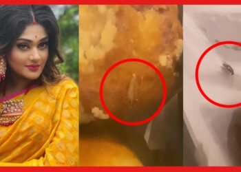Misty Singh: পাঁচতারা হোটেলের খাবারে ভর্তি আরশোলা! আঁতকে উঠলেন অভিনেত্রী মিষ্টি সিং