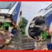 Indian Railways: ভারতে গবাদি পশুর সঙ্গে ট্রেনের সংঘর্ষ কেন হয়? মারাত্মক ক্ষতি রেলের!