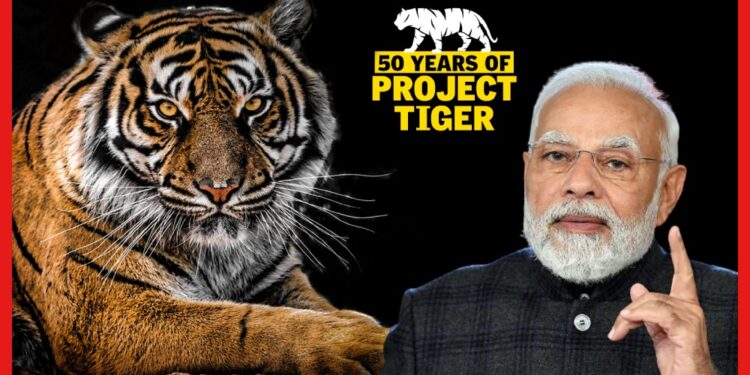 50 years of Project Tiger: ২০২২ সালে ভারতের বাঘের সংখ্যা ৩,১৬৭, গর্বিত প্রধানমন্ত্রী
