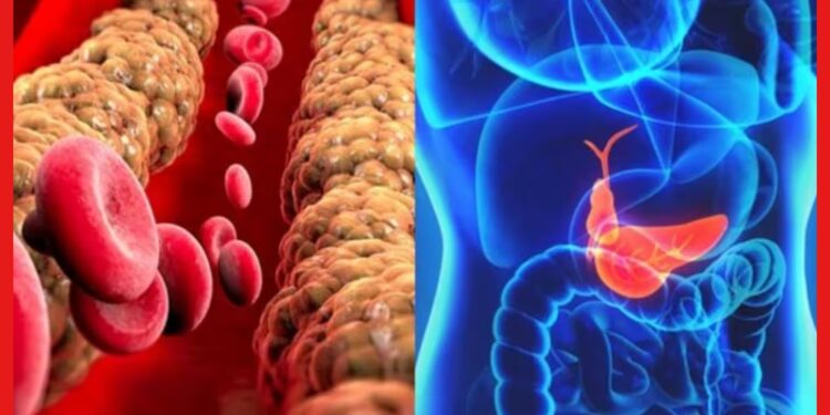 Cholesterol: সাবধান, কোলেস্টেরল সন্তর্পণে ডাকছে মৃত্যু! বাঁচতে যা খাবেন