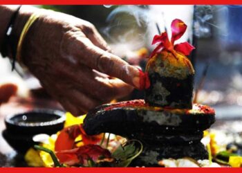 Nil Sasthi: মায়েরা কেন করেন নীল ষষ্ঠীর উপোস? জেনে নিন