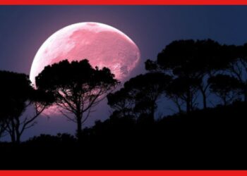 Pink Moon: আজ রাতের আকাশে দেখা মিলবে গোলাপি চাঁদ-এর ! সময়টা জানা আছে?