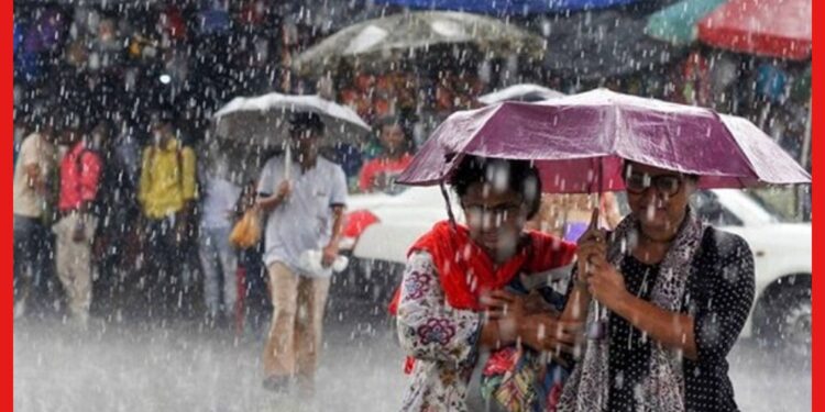 Weather Update: ভ্যাপসা গরমের মাঝে স্বস্তির খবর, ৪৮ ঘন্টায় আসছে বৃষ্টি!