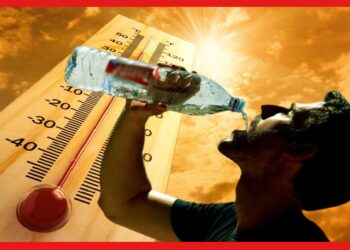 Summer Tips: গরমে জলের ঘাটতিতে হতে পারে মৃত্যু! লক্ষণগুলি জেনে রাখুন