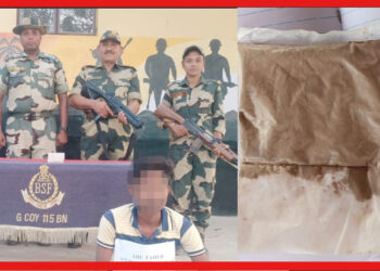 Arrest: ভারত-বাংলাদেশ সীমান্তে উদ্ধার ব্রাউন পাউডার, BSF-র হাতে আটক পাচারকারী