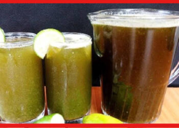 Summer Drink: গরমে হাঁসফাঁস, চটজলদি মুক্তি দেবে এই শরবত! বানিয়ে ফেলুন বাড়িতেই