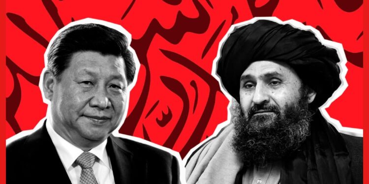 Afghanistan China: আফগানিস্তানে চিনের নয়া গেম! পাকিস্তানকে দেখেও শিক্ষা হল না তালিবানের, পরিণতি কী হবে?