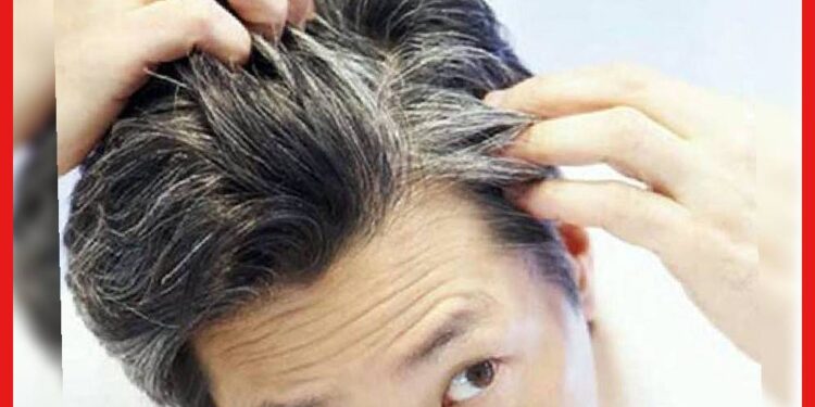 Hair Care: কালো চুল পেকে সাদা হয় কেন? গবেষণায় মিলল চাঞ্চল্যকর তথ্য, এবার এই সমস্যা থেকে মুক্তি সহজেই