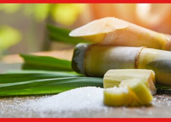 Sugar Processing: ফ্যাক্টরিতে আখ হয়ে যায় বিষ! চিনি তৈরির পদ্ধতি জানলে অবাক হবেন