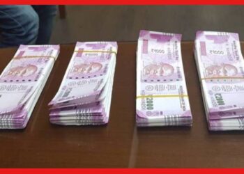 RBI Rs 2000 Notes: ২০০০ নোট বাতিলে উদ্বেগ বাড়ছে প্রবাসীদের, কি নির্দেশ দিল RBI? বদলানো যাবে টাকা!