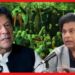 Imran Khan: ইমরান খানের বাড়িতে জঙ্গি! ২৪ ঘন্টার ডেডলাইন, পাকিস্তানে হচ্ছেটা কী?