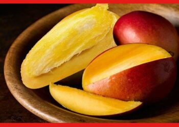 Mango: আম খেয়ে আঁটি ফেলে দেন ? এর গুনাগুন জানলে অবাক হবেন, যেতে হবে না আয়ুর্বেদিক দোকানেও
