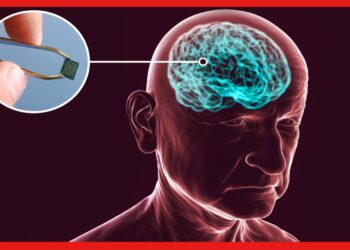 Microchip: মিলেছে সবুজ সংকেত, মাথায় ছিদ্র করে ঢোকানো হবে সিম কার্ড, বদলে যাবে কোটি কোটি মানুষের জীবন