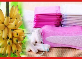 Sanitary Napkin: কলা থেকে স্যানিটারি ন্যাপকিন! ‘সাথী’র কাহিনী সাহস জোগাচ্ছে মহিলাদের