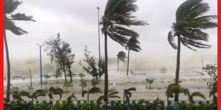 Cyclone Biparjay: পিক আওয়ারে কতটা ভয়ঙ্কর হবে বিপর্যয়? আগেভাগেই বড় পদক্ষেপ ভারতের! এই ৩ টে দিন সতর্ক থাকুন