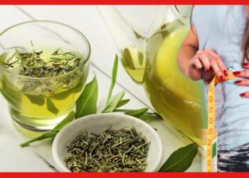 Green Tea: গ্রিন টি পান করলে সত্যি রোগা হওয়া যায়? একটু জানলেই ম্যাজিক