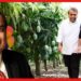 আম্বানিদের আম বাগান দেখলে চোখ ধাঁধিয়ে যাবে! কী কী গাছ রয়েছে?