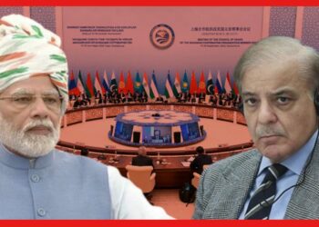 India Pakistan: ভারতকে নিয়ে ভুয়ো খবর ছড়াচ্ছে পাকিস্তান! কেন SCO বৈঠক ভার্চুয়ালি? নয়া ব্যাখ্যায় জল্পনা শুরু
