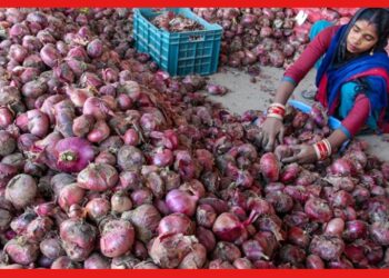 Onion price in Bangladesh: ভারতের পেঁয়াজেই হাওয়া বদল বাংলাদেশের! কোন ম্যাজিকে হুড়মুড়িয়ে কমছে পেঁয়াজের দাম?