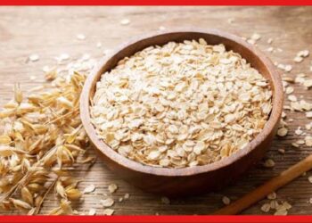 Ots For Health: ওজন কমাতে কীভাবে কাজ করে ওটস? ব্রেকফাস্টে মুশকিল আসান
