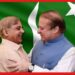 Prime Minister of Pakistan: পাকিস্তানে বদলে যাবে প্রধানমন্ত্রী! ইমরান খান কোথায়? নওয়াজ শরিফ বড় কলকাঠি নাড়লেন