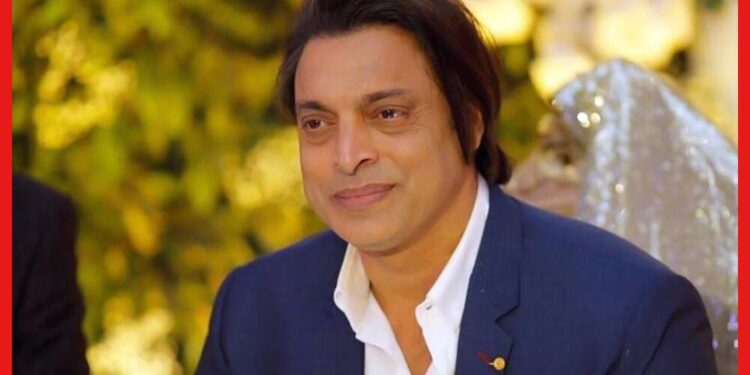 Shoaib Akhtar: বলি অভিনেত্রীকে অপহরণের ছক কষেছিলেন পাকিস্তানের শোয়েব আখতার, কে সেই সুন্দরী?