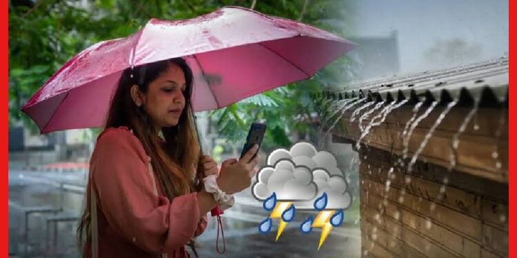 Weather Update: সকাল থেকে ঝমঝমিয়ে বৃষ্টি! বর্ষা এল দক্ষিণবঙ্গে?