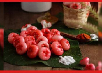 Health Benefits of Rose Apple: দামি ফলের ভিড়ে অবহেলিত জামরুল, অথচ সুগার থেকে লিভার- একাই বাজিমাত করতে তার জুড়ি নেই