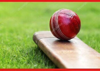 Cricket Ball: ক্রিকেট বলের ওজন কত! রইলো অজানা তথ্য