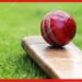 Cricket Ball: ক্রিকেট বলের ওজন কত! রইলো অজানা তথ্য