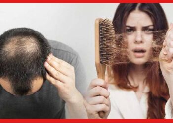 Hair Fall: চুল ওঠে সবারই, তাহলে শুধুমাত্র পুরুষদেরই টাক পড়ে কেন? জেনে নিন এখনই