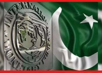 Pakistan: বড় ঘোষণা! পাকিস্তানকে এক টাকাও দেভে না IMF, নামতে পারে ধস