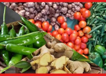 Market Price: বাজারে আগুন, আকাশছোঁয়া দাম কাঁচা লংকা, আদা, টমেটোর, কেন বাড়ছে দাম?