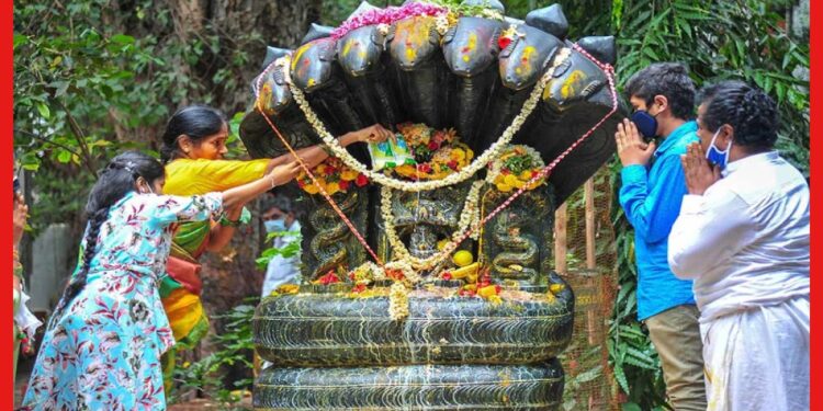 Naga Panchami: কালসর্প দোষ কাটাতে চান? নাগ পঞ্চমীতে করুন ছোট্ট কাজ, মানুন শুভ অশুভ সময়
