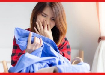 Clothes Musty Smell: বর্ষায় জামা কাপড়ে দুর্গন্ধ? জেনে নিন দূর করার চটজলদি টোটকা