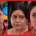 সিরিয়ালে শাশুড়ি মানেই ভিলেন! বাস্তবেও তাই? নিম ফুলের পর্ণা থেকে শিমূলের মতো আপনারও শাশুড়ি ভাগ্য খারাপ?