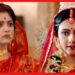 ‘শিমূল’ আসতেই জনপ্রিয়তা কমছে ‘কমলা’র, ক্ষিপ্ত দর্শক