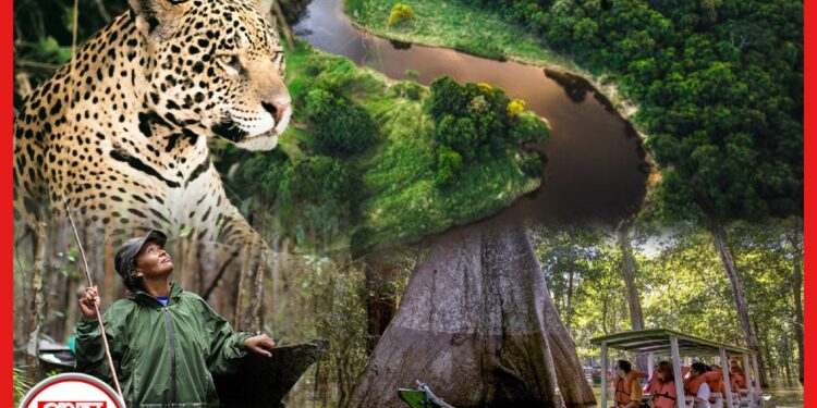 Amazon Rainforest: আমাজনের গভীরে গায়ে কাঁটা দেওয়া রহস্য, পা পড়ে না মানুষের! কারা থাকে এখানে?