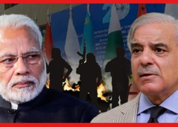 India Pakistan: পাকিস্তানকে তুলোধনা মোদীর! SCO তে যোগ দিয়ে ভুল করলেন শাহবাজ শরিফ? কী ঘটল