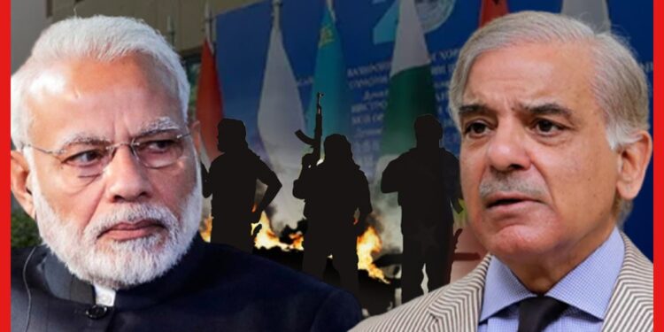 India Pakistan: পাকিস্তানকে তুলোধনা মোদীর! SCO তে যোগ দিয়ে ভুল করলেন শাহবাজ শরিফ? কী ঘটল